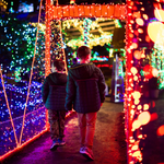 10 Best Christmas and Holiday Events in California for 2025