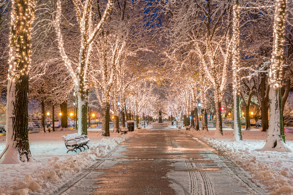Popular and Unique Christmas Events in Massachusetts for 2025