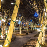 10 Memorable Christmas Events in North Carolina for 2025