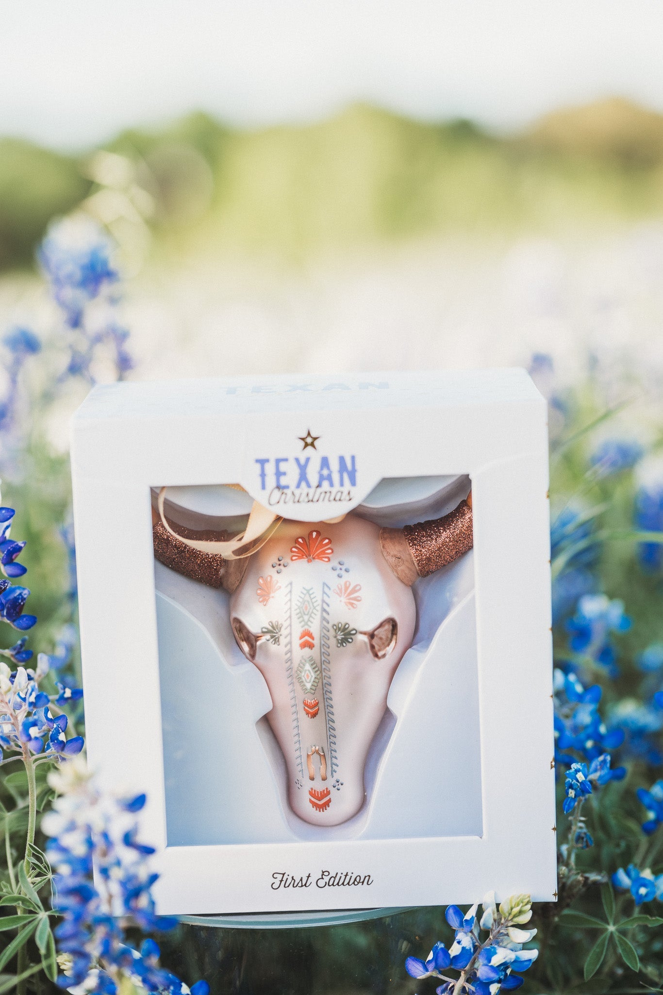 Steer Head Skull 2024 First Edition Texan Christmas Ornament