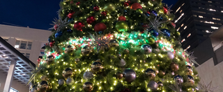 Best Christmas Lights in Seattle 2026: Top Displays to See