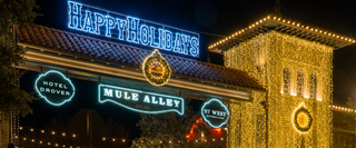 Best Christmas Lights in Dallas-Fort Worth 2026: Top Displays to See