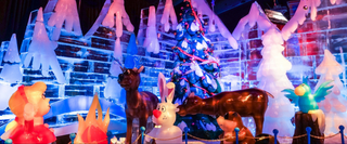Best Attractions and Experiences in Orlando 2026