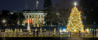 Best Christmas Festivals & Parades in Washington, D.C. 2026