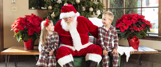 Best Christmas Attractions and Experiences in Austin 2026