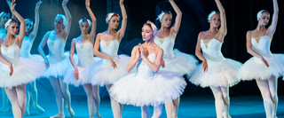 Best Christmas Shows in New York City 2026: Holiday Performances Guide
