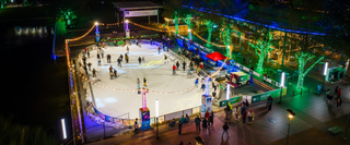Best Christmas Activities in Houston: Top Attractions & Experiences 2026