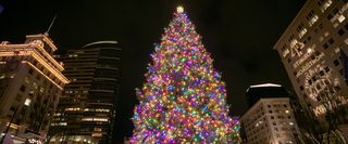 Best Christmas Lights in Portland 2026: Top Displays to See