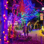 ZooLights & Upcycled Delights: Chicago’s Must-Visit Holiday Market