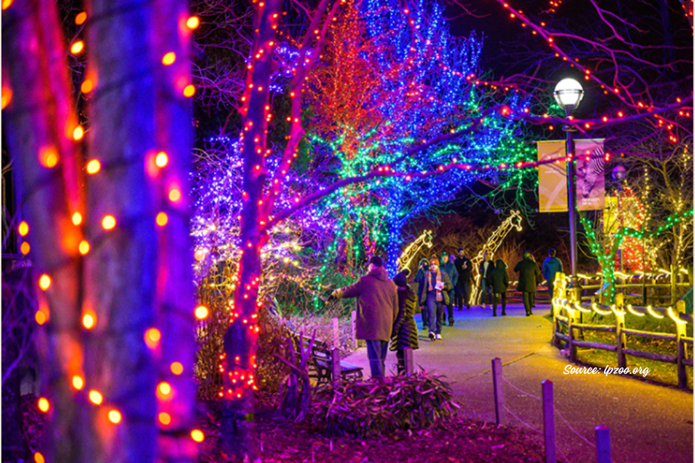 ZooLights & Upcycled Delights: Chicago’s Must-Visit Holiday Market
