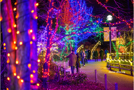 ZooLights & Upcycled Delights: Chicago’s Must-Visit Holiday Market