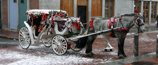 Best Christmas Attractions and Experiences in Boston 2026