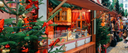 Best Christmas Markets in Chicago 2026: Holiday Markets Guide