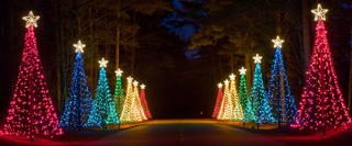 Best Christmas Lights in Atlanta 2026: Top Displays to See