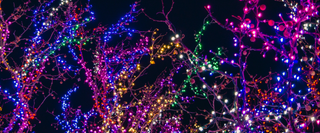 Best Christmas Lights in Austin 2026: Top Displays to See