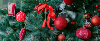 Best Christmas Events in Baltimore 2026