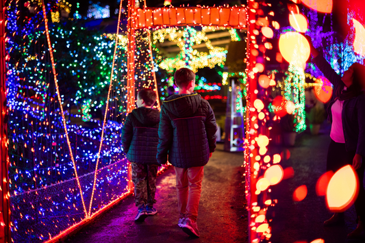 10 Best Christmas and Holiday Events in California for 2025