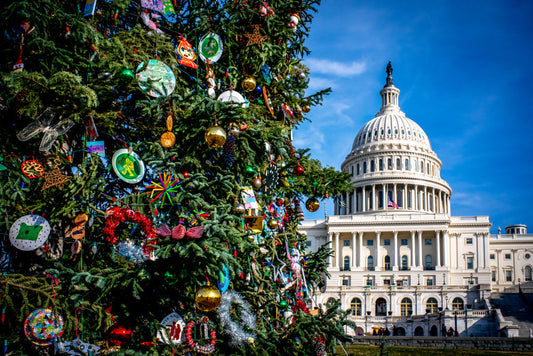 Washington, DC Christmas Event Guide 2025