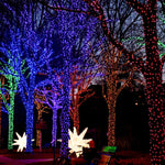 Atlanta Christmas Event Guide 2025