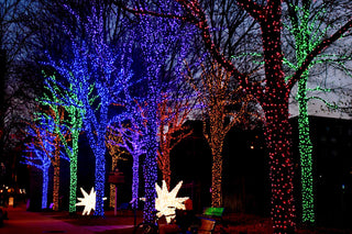 Atlanta Christmas Event Guide 2025