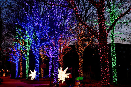 Atlanta Christmas Event Guide 2025