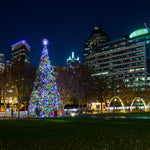 Dallas Christmas Event Guide 2025
