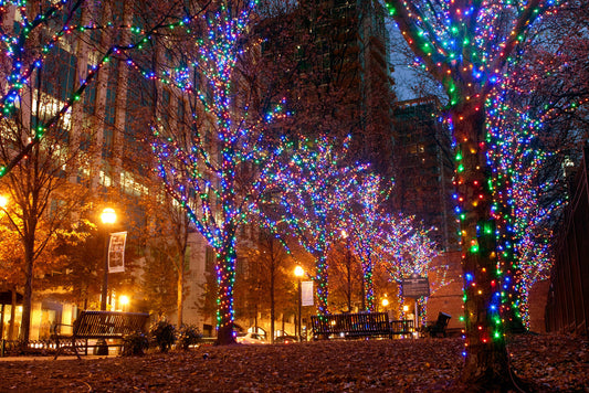 10 Best Christmas and Holiday Events in Georgia for 2025