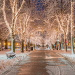 Popular and Unique Christmas Events in Massachusetts for 2025