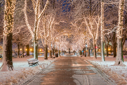 Popular and Unique Christmas Events in Massachusetts for 2025