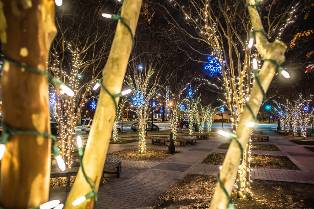 10 Memorable Christmas Events in North Carolina for 2025