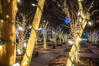 10 Memorable Christmas Events in North Carolina for 2025